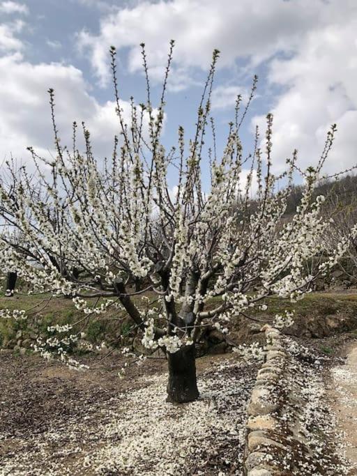 La Duquesa Del Valle Cabezuela Del Valle Kültér fotó